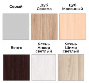 Шкаф-купе ХИТ 22-4-17-55 (420) в Губахе - gubaha.ok-mebel.com | фото 3