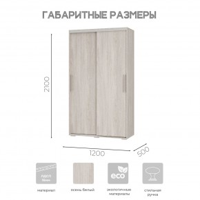 Шкаф-купе ШКК-11 (ясень белый) в Губахе - gubaha.ok-mebel.com | фото 7