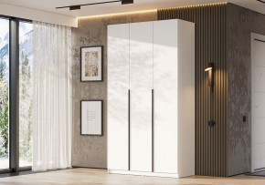 Шкаф платяной Даиго в Губахе - gubaha.ok-mebel.com | фото 3