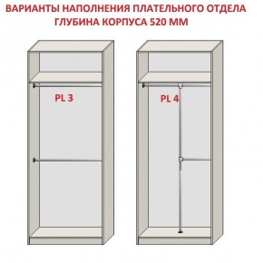 Шкаф распашной серия «ЗЕВС» (PL3/С1/PL2) в Губахе - gubaha.ok-mebel.com | фото 10