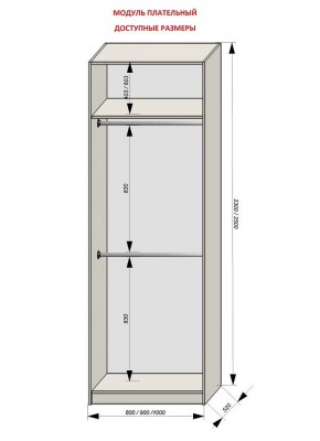 Шкаф распашной серия «ЗЕВС» (PL3/С1/PL2) в Губахе - gubaha.ok-mebel.com | фото 12