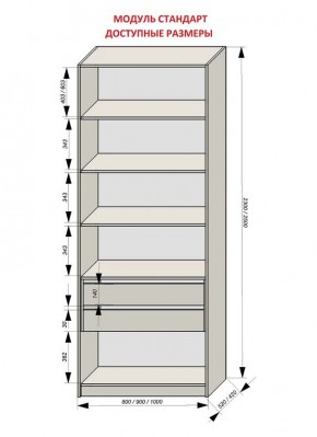 Шкаф распашной серия «ЗЕВС» (PL3/С1/PL2) в Губахе - gubaha.ok-mebel.com | фото 13