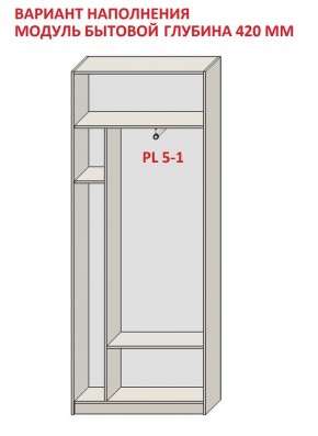 Шкаф распашной серия «ЗЕВС» (PL3/С1/PL2) в Губахе - gubaha.ok-mebel.com | фото 4