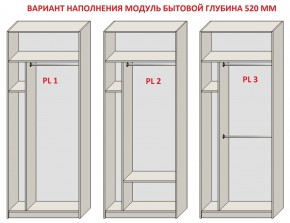 Шкаф распашной серия «ЗЕВС» (PL3/С1/PL2) в Губахе - gubaha.ok-mebel.com | фото 5