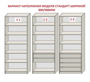 Шкаф распашной серия «ЗЕВС» (PL3/С1/PL2) в Губахе - gubaha.ok-mebel.com | фото 6