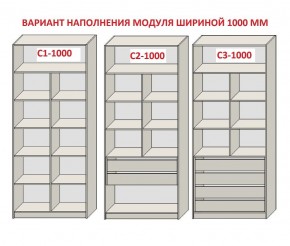 Шкаф распашной серия «ЗЕВС» (PL3/С1/PL2) в Губахе - gubaha.ok-mebel.com | фото 7