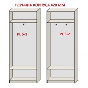 Шкаф распашной серия «ЗЕВС» (PL3/С1/PL2) в Губахе - gubaha.ok-mebel.com | фото 8