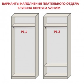 Шкаф распашной серия «ЗЕВС» (PL3/С1/PL2) в Губахе - gubaha.ok-mebel.com | фото 9