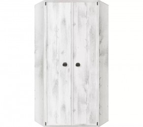Шкаф угловой JSZFN 2d (МС Индиана) сосна каньон в Губахе - gubaha.ok-mebel.com | фото