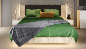 Спальня Джулия Кровать 160 МИ с подъемным механизмом Дуб крафт серый в Губахе - gubaha.ok-mebel.com | фото 4