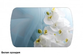 Стол Бостон 900*600 (опоры Брифинг) Стекло/фотопечать Белая Орхидея в Губахе - gubaha.ok-mebel.com | фото