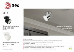 Светильник на штанге Эра OL12 GX53 CH Б0049030 в Губахе - gubaha.ok-mebel.com | фото 3