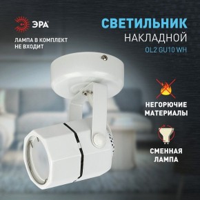 Светильник на штанге Эра OL2 GU10 WH Б0044259 в Губахе - gubaha.ok-mebel.com | фото 3