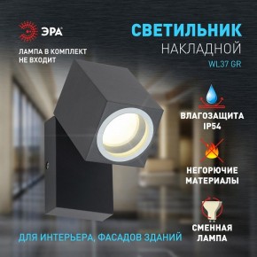 Светильник на штанге Эра WL37 GR Б0054409 в Губахе - gubaha.ok-mebel.com | фото 2