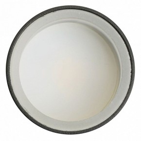 Светильник на штанге Feron ML1001 51371 в Губахе - gubaha.ok-mebel.com | фото 4