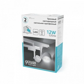 Светильник на штанге Gauss Track Light TR054 в Губахе - gubaha.ok-mebel.com | фото 5
