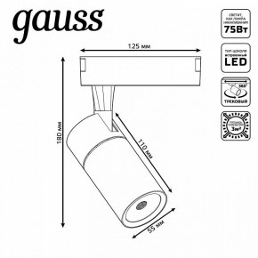 Светильник на штанге Gauss Track Light TR060 в Губахе - gubaha.ok-mebel.com | фото 5