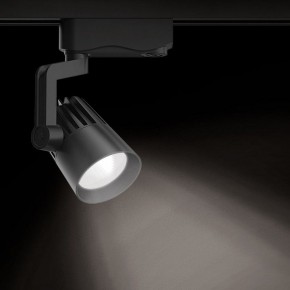Светильник на штанге Gauss Track Light TR061 в Губахе - gubaha.ok-mebel.com | фото 2