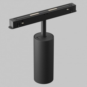 Светильник на штанге Maytoni Artisan TR097-2-12W2.7K-M-BB в Губахе - gubaha.ok-mebel.com | фото 6
