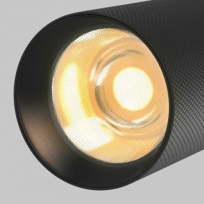 Светильник на штанге Maytoni Artisan TR097-2-12W2.7K-M-BB в Губахе - gubaha.ok-mebel.com | фото 9