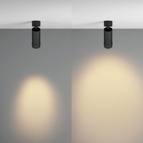 Светильник на штанге Maytoni Focus Zoom C055CL-L12W2.7K-Z-B в Губахе - gubaha.ok-mebel.com | фото 3