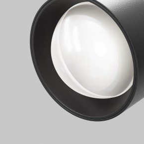 Светильник на штанге Maytoni Lens TR217-2-15W4K-B в Губахе - gubaha.ok-mebel.com | фото 10
