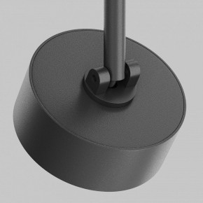 Светильник на штанге Maytoni Lens TR217-2-15W4K-B в Губахе - gubaha.ok-mebel.com | фото 9