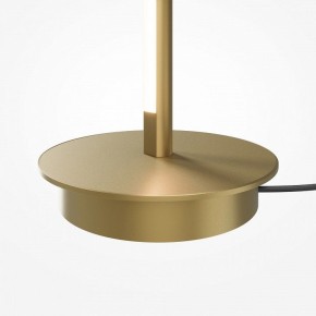 Торшер Maytoni Thin MOD395FL-L28BS3K в Губахе - gubaha.ok-mebel.com | фото 7