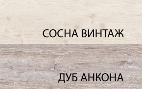 Тумба RTV 1D2SN, MONAKO, цвет Сосна винтаж/дуб анкона в Губахе - gubaha.ok-mebel.com | фото 3