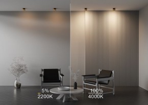 Встраиваемый светильник Maytoni Onda DL024-12W-DTW-BMG в Губахе - gubaha.ok-mebel.com | фото 9